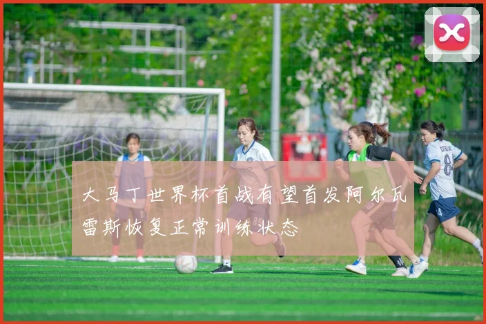大马丁世界杯首战有望首发阿尔瓦雷斯恢复正常训练状态