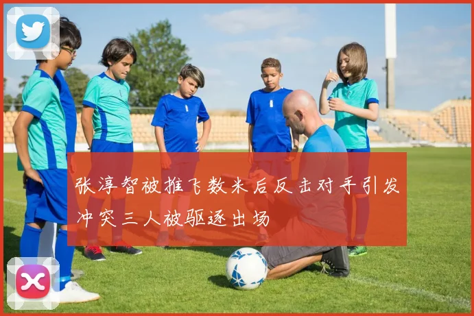 张淳智被推飞数米后反击对手引发冲突三人被驱逐出场